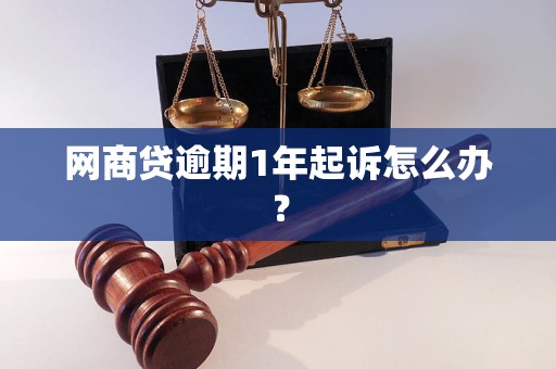 网商贷逾期1年起诉怎么办？