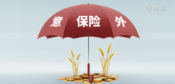 意外险多少钱一年?意外险多少钱? 意外险多少钱一年?意外险多少钱?