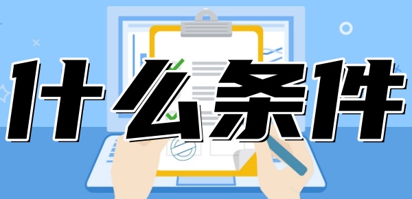 税务贷款需要什么条件