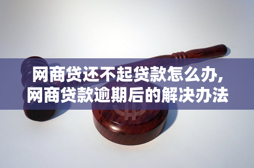 网商贷还不起贷款怎么办,网商贷款逾期后的解决办法