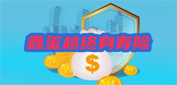 海保人寿鑫玺越终身寿险怎么样